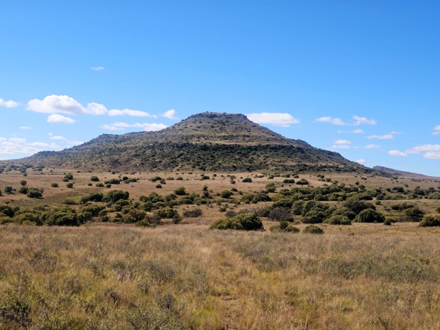 4 Bedroom Property for Sale in Dewetsdorp Free State